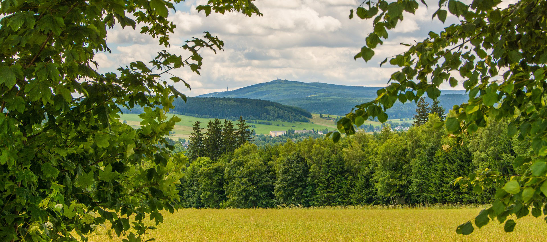 Sommer wie Winter